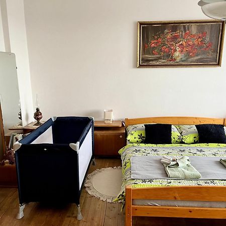 Slunny Byt S Krasnym Vyhledem Nove Mesto nad Metuji Exterior foto