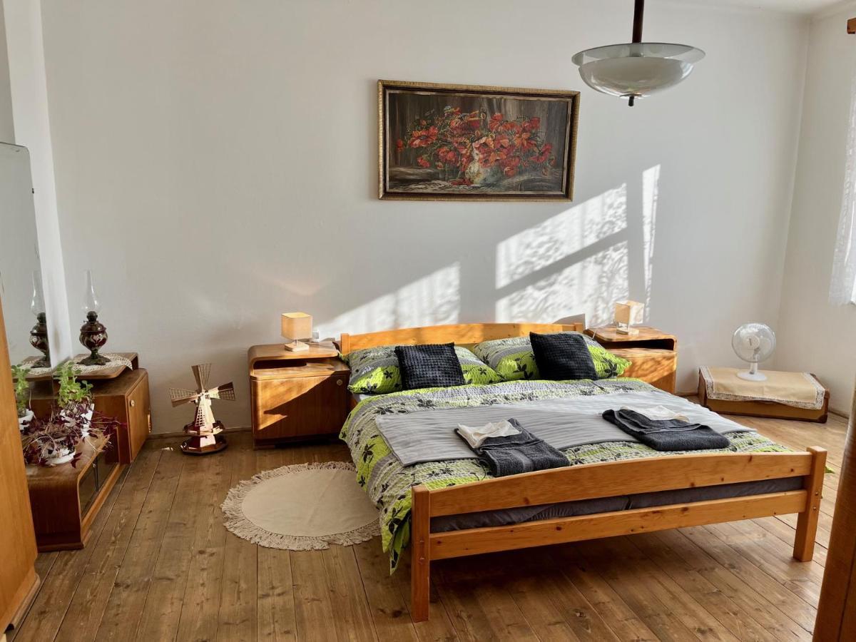 Slunny Byt S Krasnym Vyhledem Nove Mesto nad Metuji Exterior foto