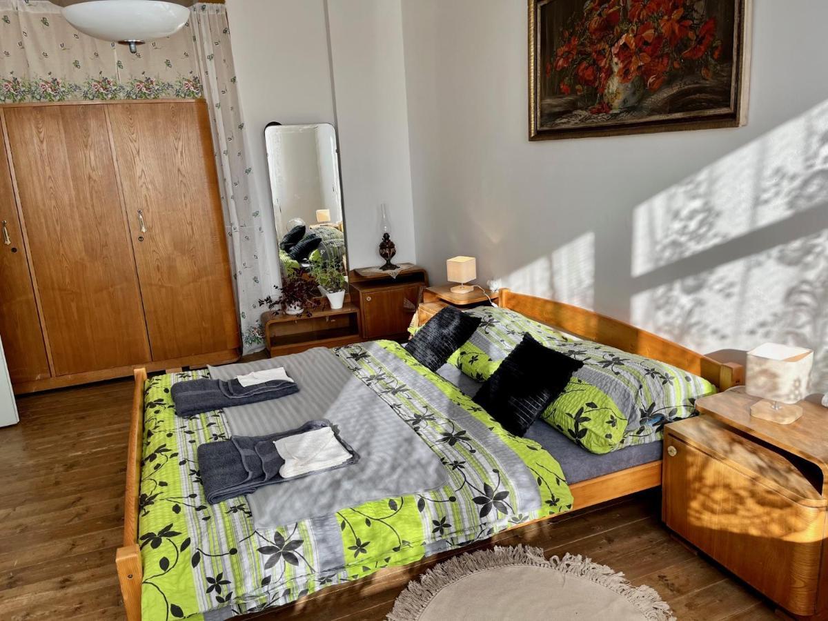Slunny Byt S Krasnym Vyhledem Nove Mesto nad Metuji Exterior foto