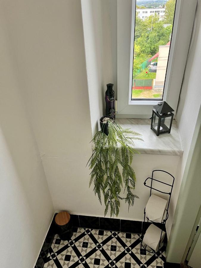 Slunny Byt S Krasnym Vyhledem Nove Mesto nad Metuji Exterior foto